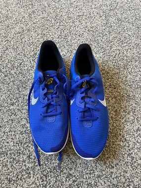 Men’s Nike Flex Royal Blue Shoe. Never worn!! Size 12